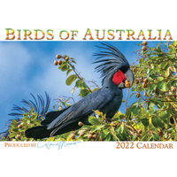 2022 Calendar Birds of Australia Horizontal Wall by David Messent