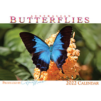 2022 Calendar Australian Butterflies Horizontal Wall by David Messent