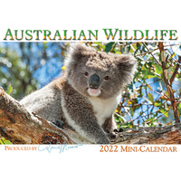 2022 Calendar Australian Wildlife Mini by David Messent