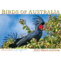 2022 Calendar Birds of Australia Mini by David Messent