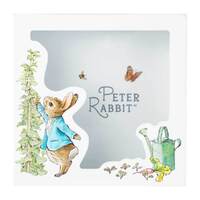 Money Bank Beatrix Potter Peter Rabbit, Great Gift Idea, JAS-BP150701