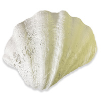 Russell Collection Figurine 27cm Stoup Shell, Whitehill HF STOUP