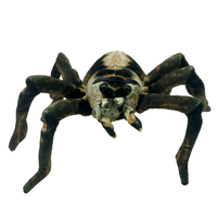 Huggable Toys Australiana Plush 22cm Sebastian Spider, hspi-Seb