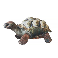 Huggable Toys Aquarium Plush 25cm Darwin Tortoise, htor-Dar