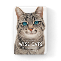 Little Affirmations - Wise Cats 24 Card Pack with Stand - DWC