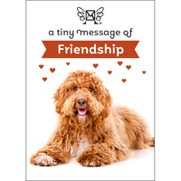 Affirmations Tiny Treasures: A Tiny Message of Friendship