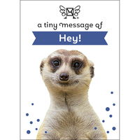 Affirmations Tiny Treasures: A Tiny Message of Hey!