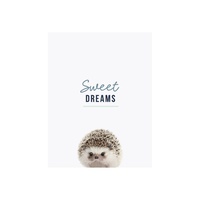 Splosh Baby Sweet Dreams Door Plaque BBY032 Baby Shower Gift