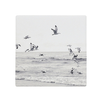 Splosh: Coastal - Seagulls Ceramic Coaster CTL028I