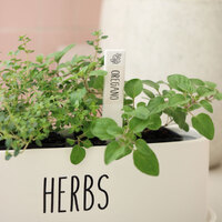 Splosh Herb Label Home Grown Oregano, Ceramic Plant Label Garden Tag HMG018