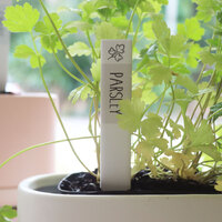 Splosh Herb Label Home Grown Parsley, Ceramic Plant Label Garden Tag HMG019