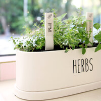 Splosh Herb Label Home Grown Thyme, Ceramic Plant Label Garden Tag HMG021