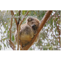 2022 Calendar Wildlife Of Australia Desktop by New Millennium Images