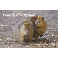 2024 Calendar Wildlife of Australia Horizontal by New Millennium Images