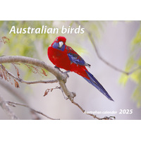 2025 Calendar Australian Birds Vertical Wall by New Millennium Images