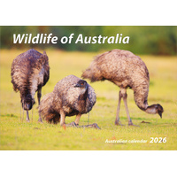 2026 Calendar Wildlife of Australia Horizontal Wall