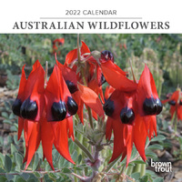 2022 Calendar Australian Wildflowers Mini Wall by Browntrout A00505