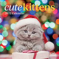 2022 Calendar Cute Kittens Mini Wall by Browntrout A00727