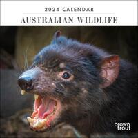 2024 Calendar Australian Wildlife Mini Wall Browntrout A03360