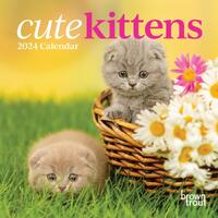2024 Calendar Cute Kittens Mini Wall Browntrout A03421