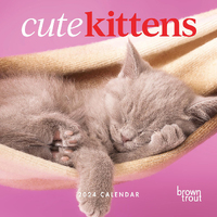 2024 Calendar Cute Kittens Square Wall Browntrout A03605