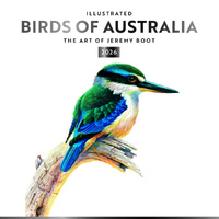 2026 Calendar Illustrated Birds of Australia, The Art of Jeremy Boot Square Wall, BrownTrout A05289