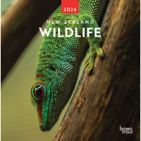 2026 Calendar New Zealand Wildlife Square Wall, BrownTrout A06118