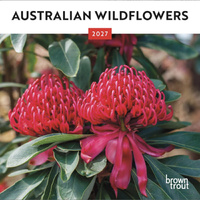 2027 Calendar Australian Wildflowers Mini Wall, Browntrout A06859