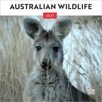 2027 Calendar Australian Wildlife Mini Wall, Browntrout A06866