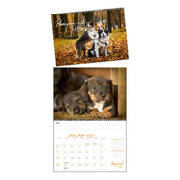 2026 Calendar Pampurred Pets 337x240mm Wiro Wall, easy2C 4220