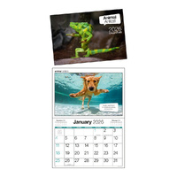 2026 Calendar Animal Antics A4 Horizontal Wall, easy2C 4281