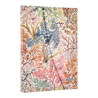 2026 Diary Paperblanks Midi Week-At-A-Time Horizontal Hardcover Anemone