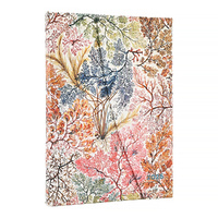 2026 Diary Paperblanks Midi Week-At-A-Time Verso Hardcover Anemone
