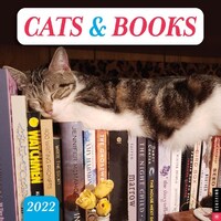 2022 Calendar Cats & Books Square Wall by Andrews McMeel AM40337