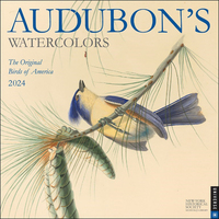 2024 Calendar Audubon's Watercolors Square Wall Andrews McMeel AM43222