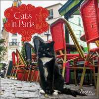 2027 Calendar Cats in Paris Square Wall, Rizzoli Universe AM49361