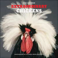 2026 Calendar Extraordinary Chickens Square Wall, Andrews McMeel AM82459