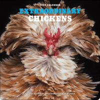 2027 Calendar Extraordinary Chickens Square Wall, Abrams AM91666