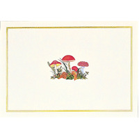 Peter Pauper Press Boxed Blank Note Cards - Mushrooms 341907