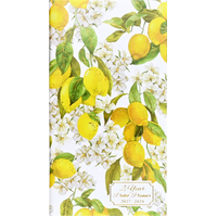 2027-2028 2-Year Planner Peter Pauper Press Amalfi Lemons Pocket Month to View, 347541