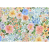 Peter Pauper Press Boxed Blank Note Cards - Floral Blooms 349040
