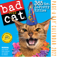 2022 Calendar Bad Cat Page-A-Day Boxed by Workman W12546