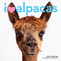 2022 Calendar I Heart Alpacas Square Wall by Workman W12577