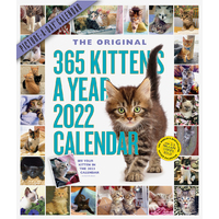 2022 Calendar 365 Kittens-A-Year Picture-A-Day Deluxe Wall by Workman W12584