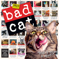 2022 Calendar Bad Cat Square Wall by Workman W13116
