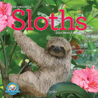 2026 Calendar The Original Sloths Mini Wall, Workman