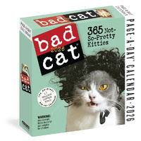 2026 Calendar Bad Cat Page-A-Day Boxed, Workman