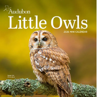 2026 Calendar Audubon Little Owls Mini Wall, Workman