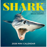 2026 Calendar Sharks Mini Wall, Workman