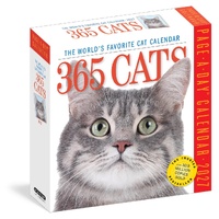 2027 Calendar Page-A-Day 365 Cats Day-to-Day Boxed, Workman